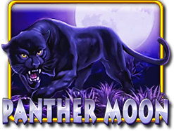 PantherMoon