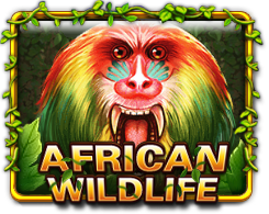 AfricanWildLife