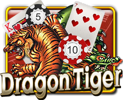 DragonTiger1